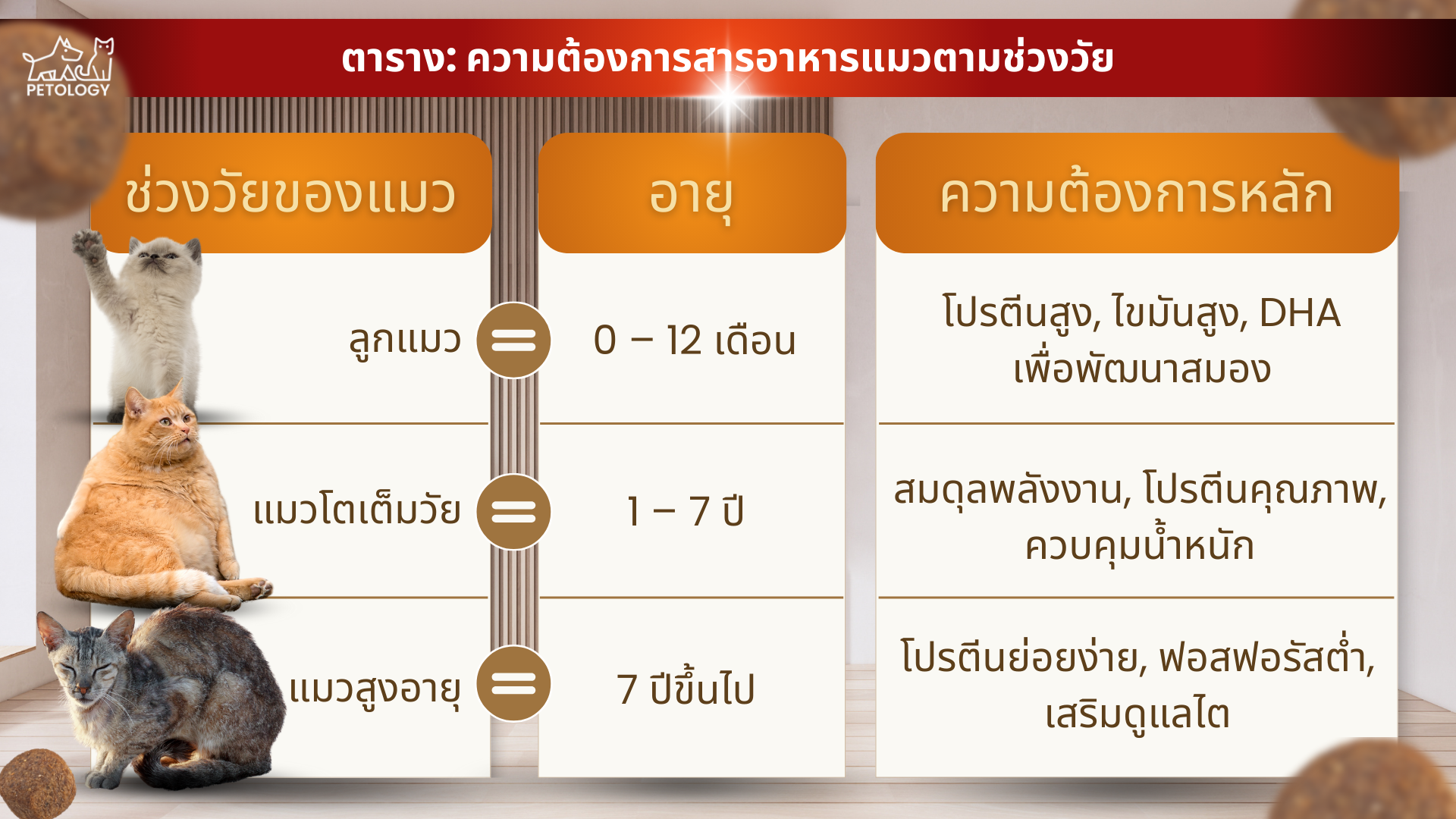 อาหารแมวแบบไหน
