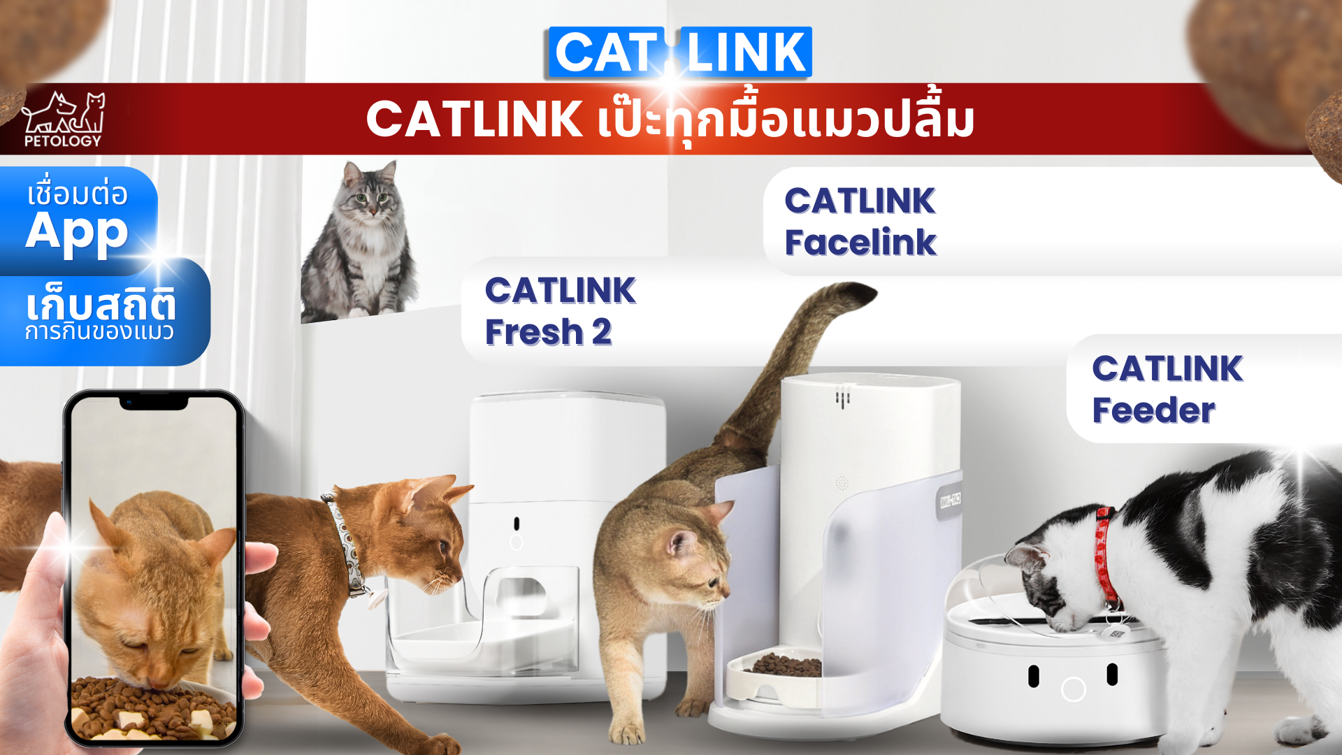 อาหารแมวแบบไหน