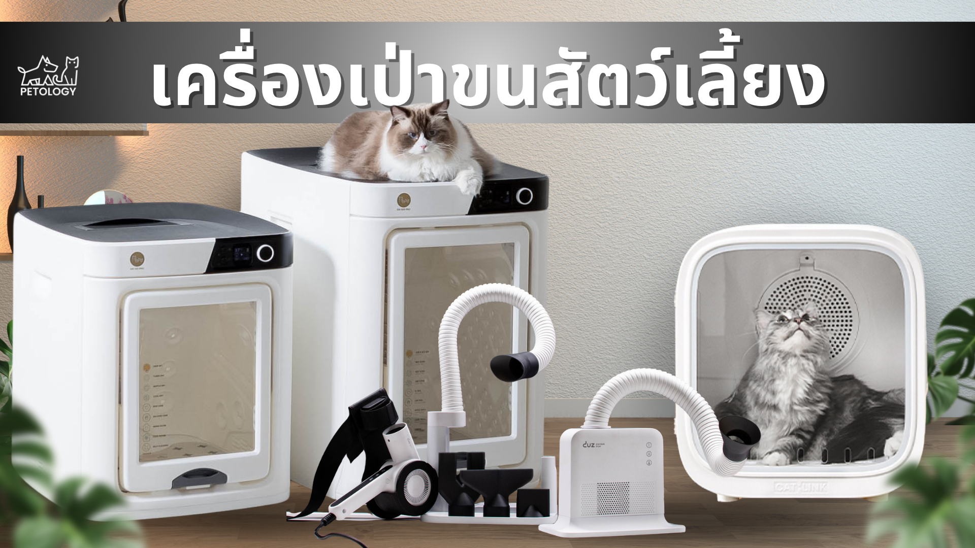 เครื่องเป่าขนสัตว์เลี้ยงอัตโนมัติ