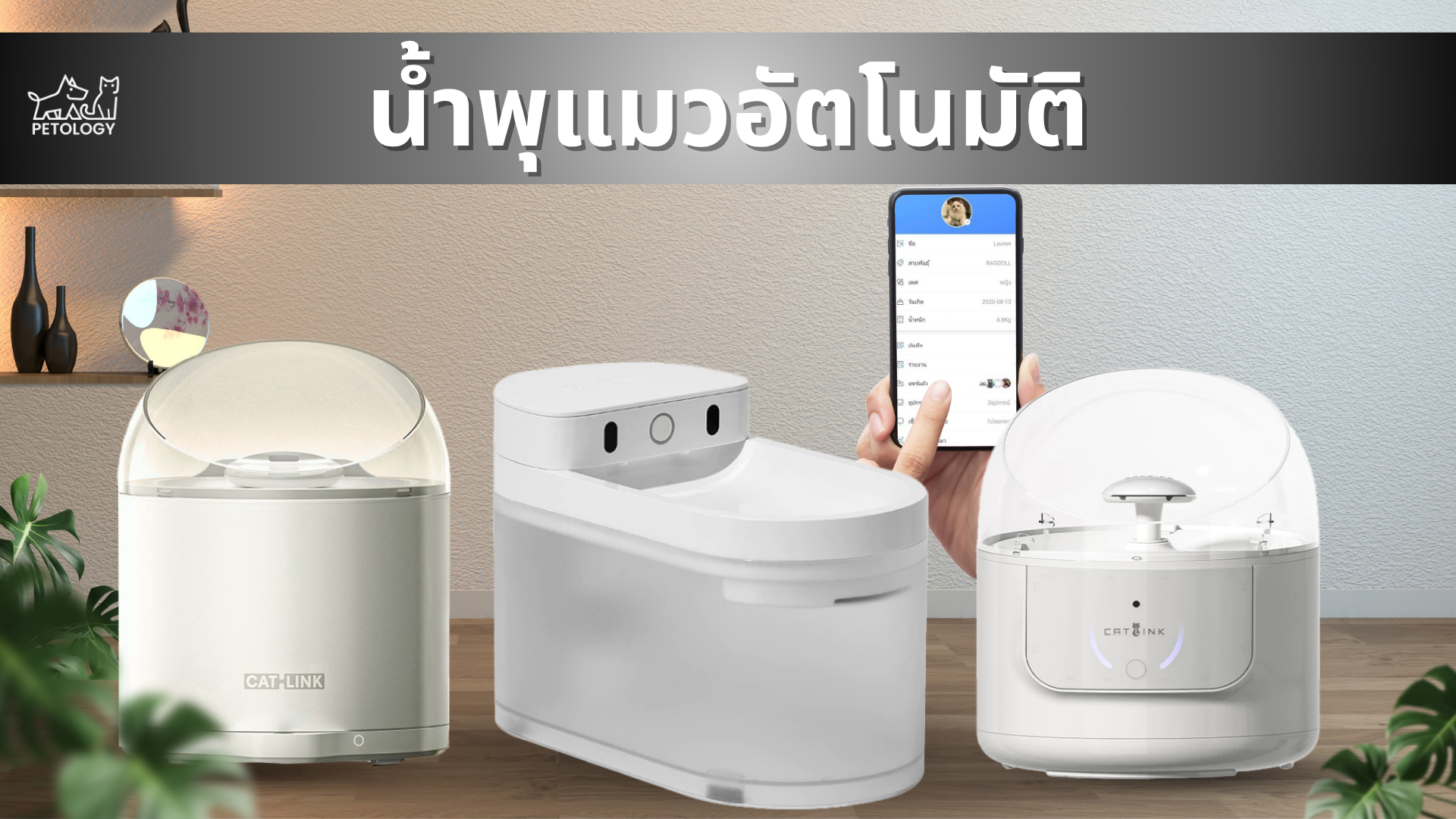 น้ำพุอัตโนมัติ