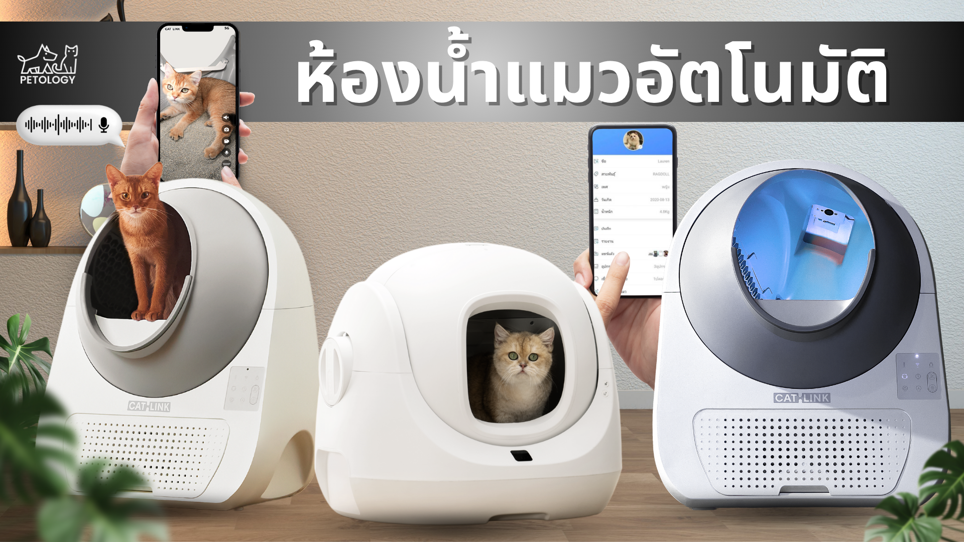 ห้องน้ำแมวอัตโนมัติ