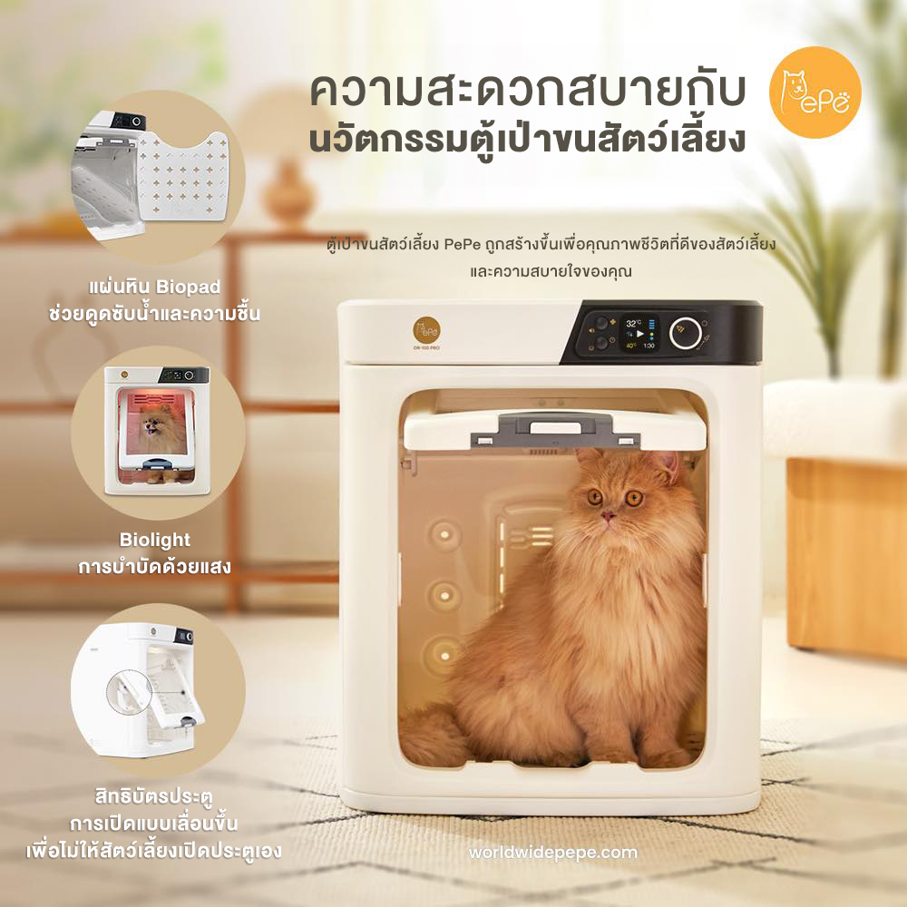 เครื่องเป่า ขนแมว ขนหมา ขนสัตว์เลี้ยง ตู้เป่าขน