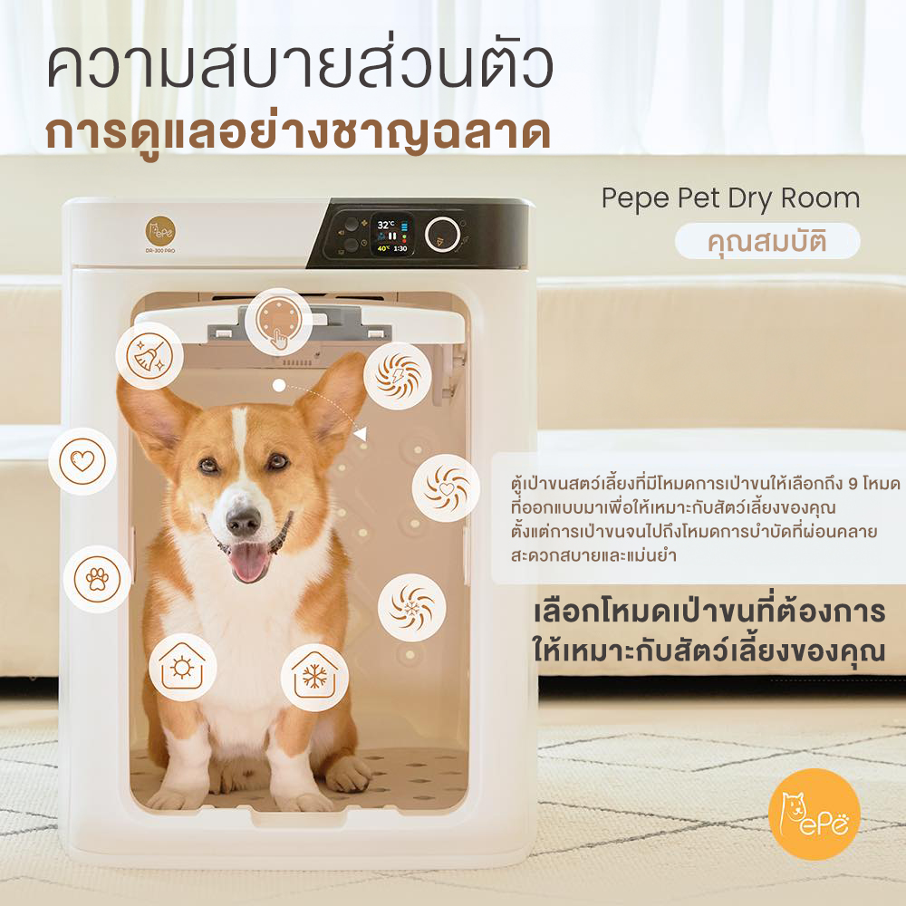 เครื่องเป่า ขนแมว ขนหมา ขนสัตว์เลี้ยง ตู้เป่าขน