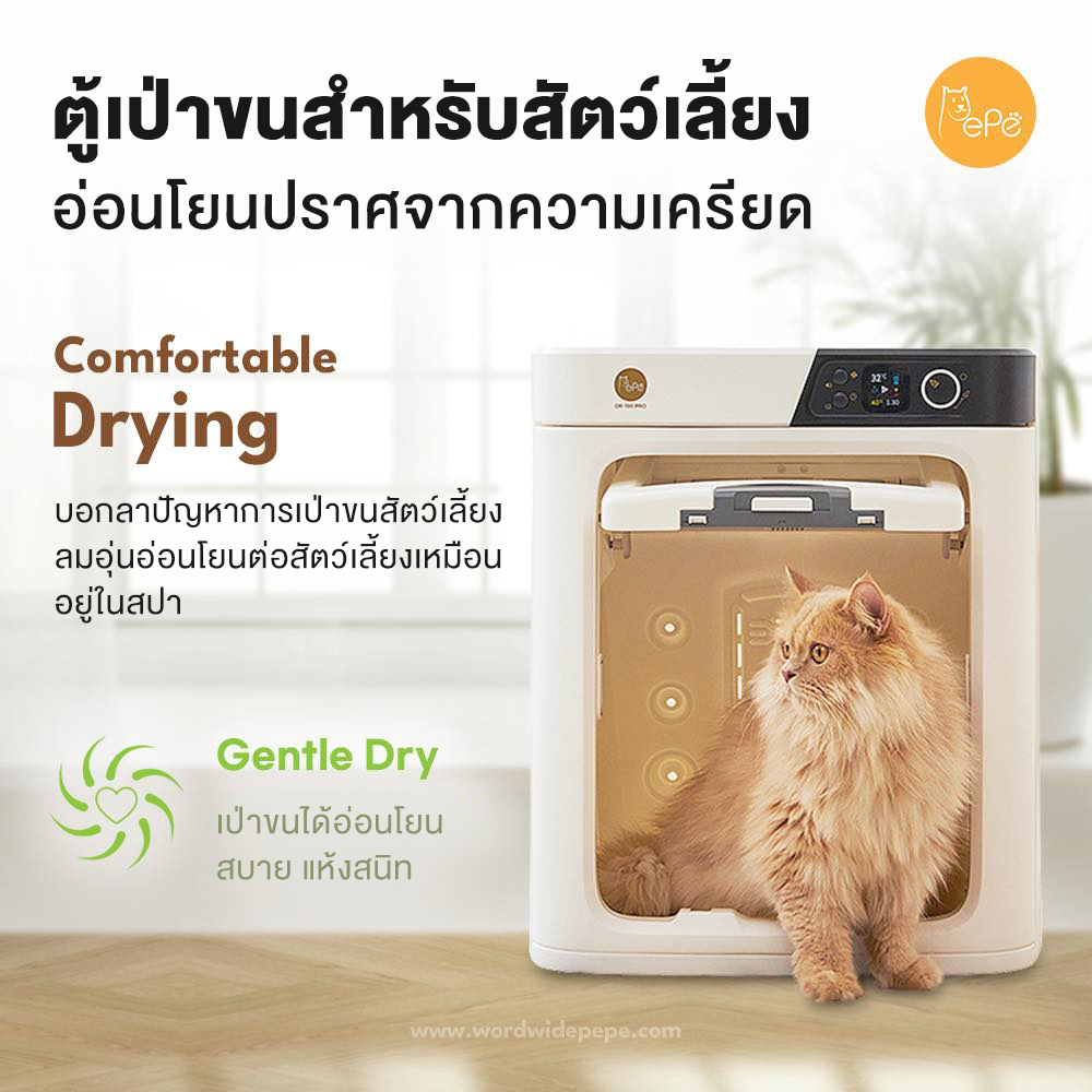 เครื่องเป่า ขนแมว ขนหมา ขนสัตว์เลี้ยง ตู้เป่าขน