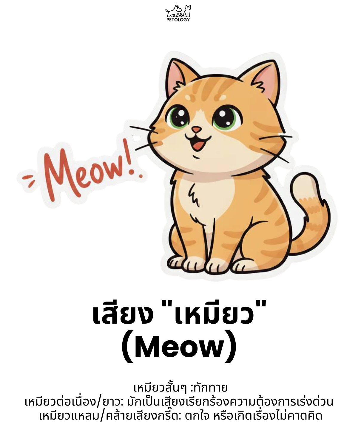 เสียงแมว