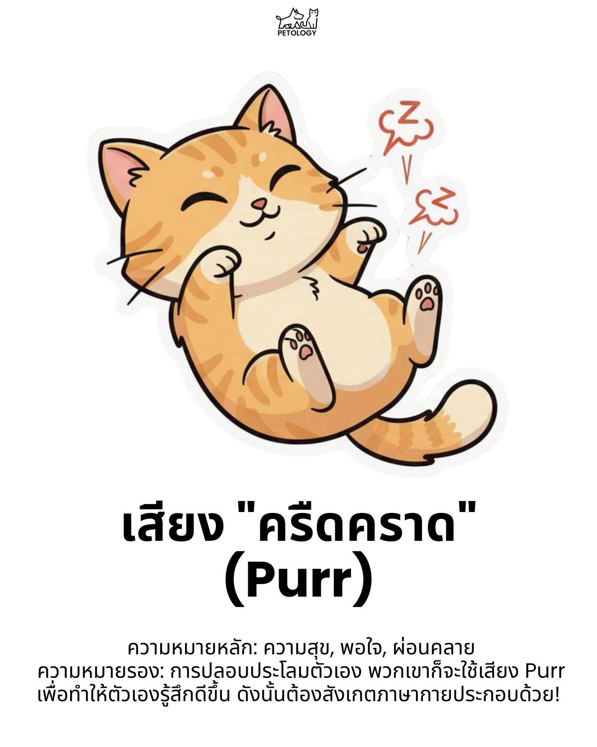 เสียงแมว