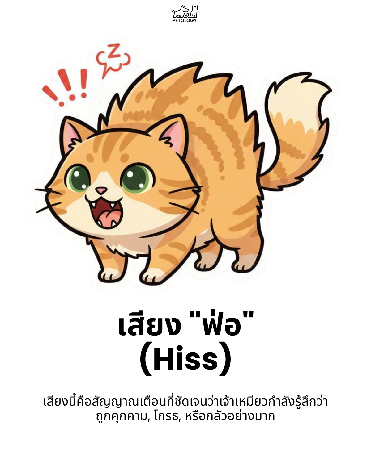 เสียงแมว