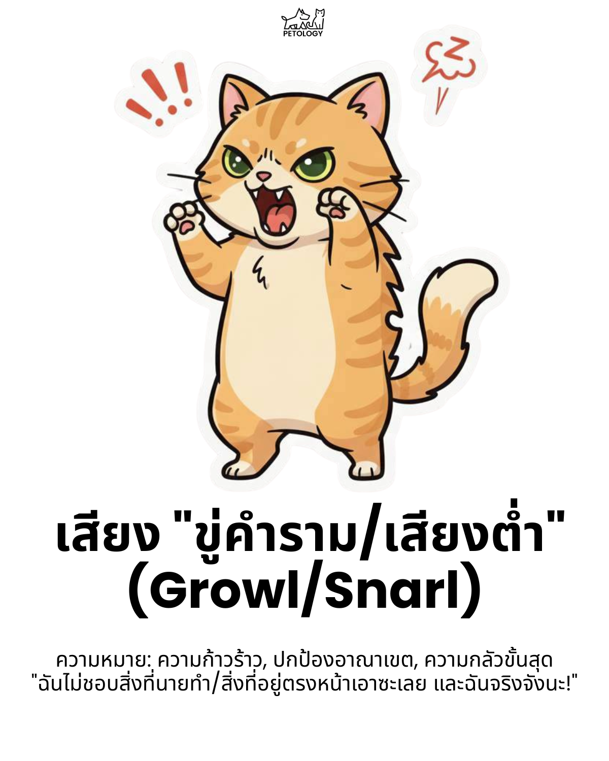เสียงแมว