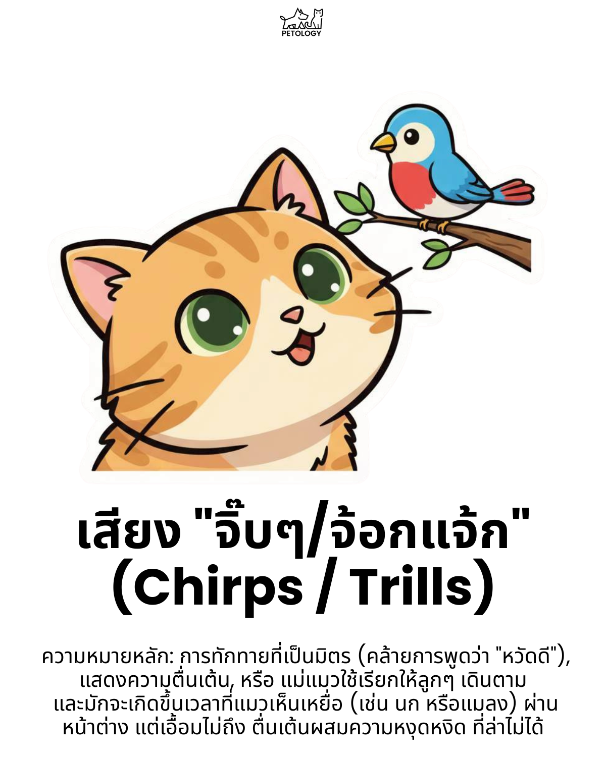 เสียงแมว