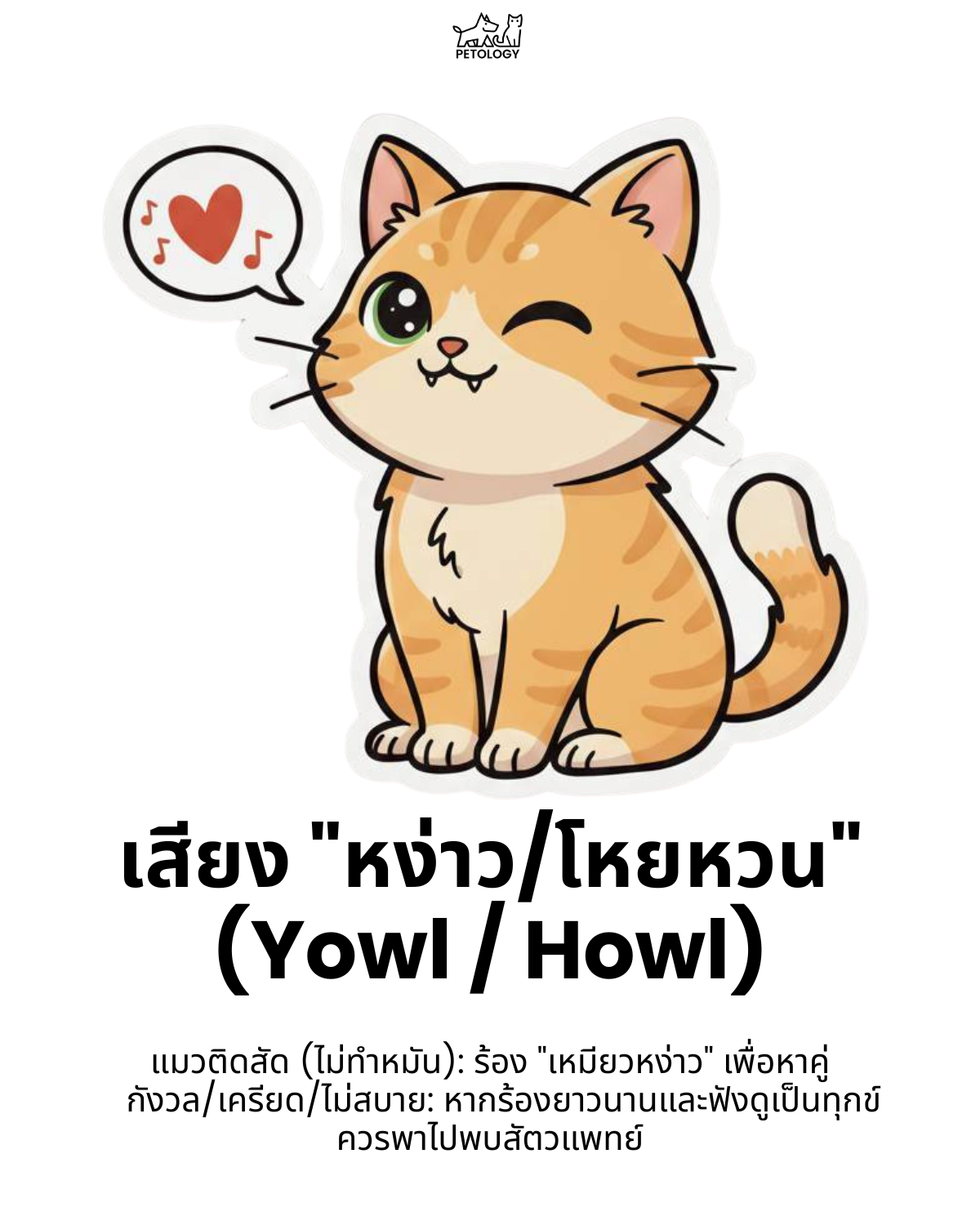 เสียงแมว