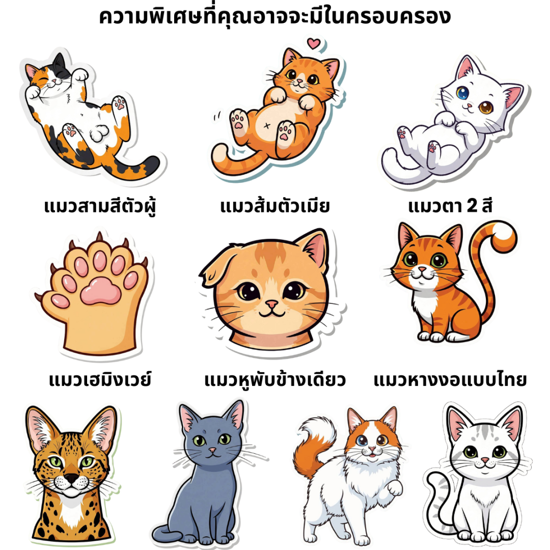 🐾 10 แมวหายากความพิเศษที่คุณอาจจะมีในครอบครอง