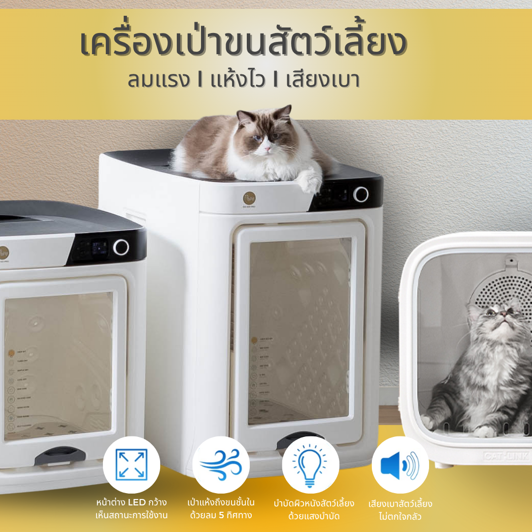 เครื่องเป่า ขนหมา ขนแมว ที่ฟังก์ชันแน่นสุดในปี 2025 จาก Petology