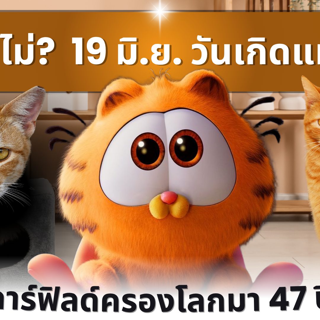 รู้หรือไม่? 19 มิ.ย. วันเกิดการ์ฟิลด์ แมวส้มครองโลกมา 47 ปีแล้ว