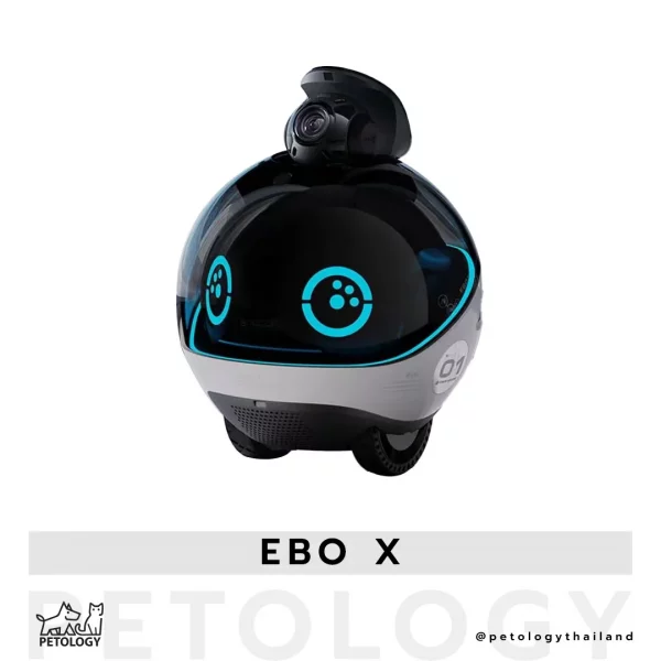 EBO X หุ่นยนต์อัจฉริยะ