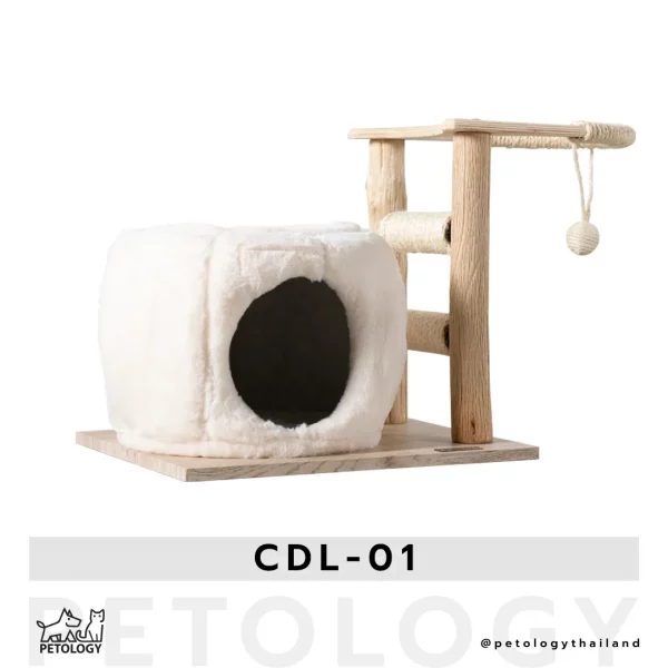 คอนโดแมว CDL - 01