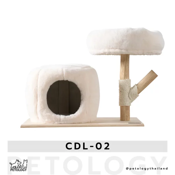 คอนโดแมว CDL - 02
