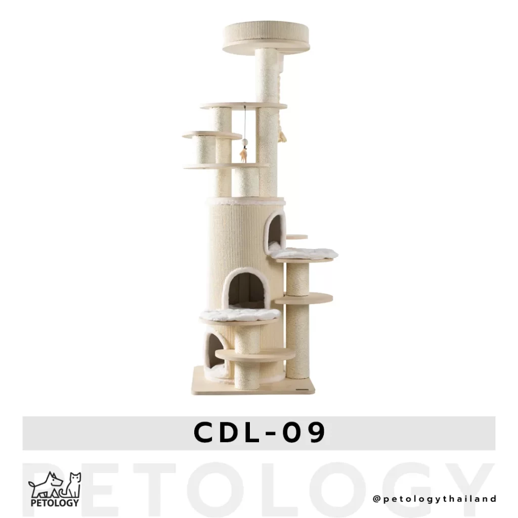 คอนโดแมว CDL - 09