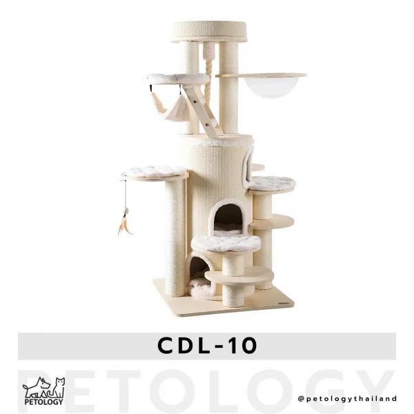 คอนโดแมว CDL - 10