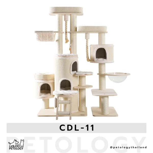 คอนโดแมว CDL - 11
