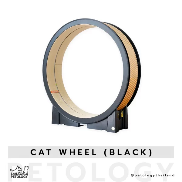 ลู่วิ่งแมวอัจฉริยะ Cat wheel (Black)