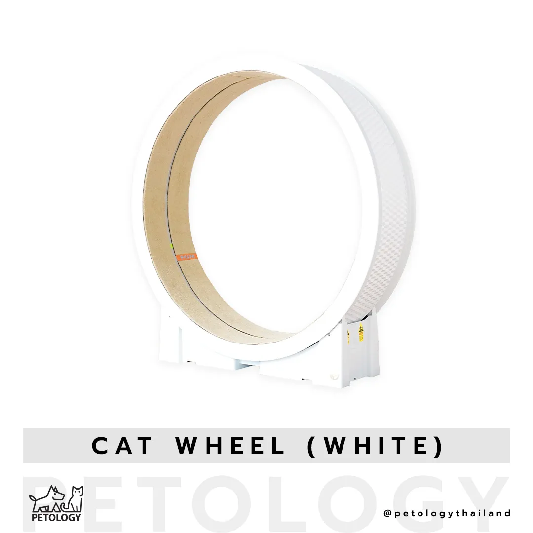 ลู่วิ่งแมวอัจฉริยะ Cat wheel (White)