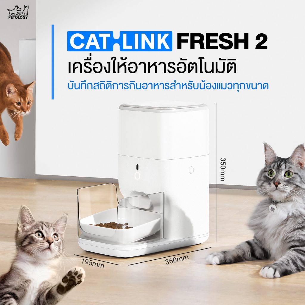 Catlink Fresh 2 เครื่องให้อาหารอัตโนมัติ