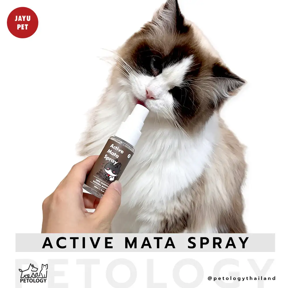 สเปรย์กัญชาแมว Active Mata Spray BY JAYU PET