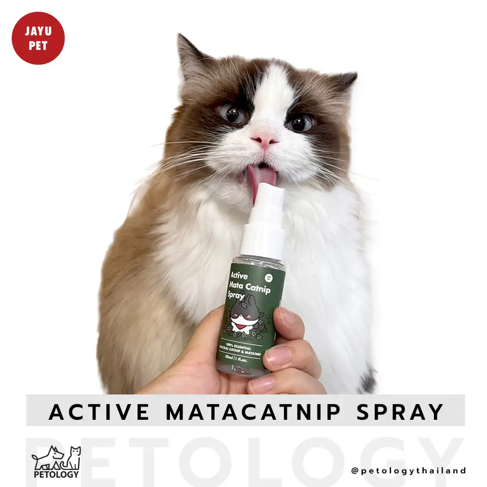 สเปรย์กัญชาแมว Active Mata Catnip Spray BY JAYU PET