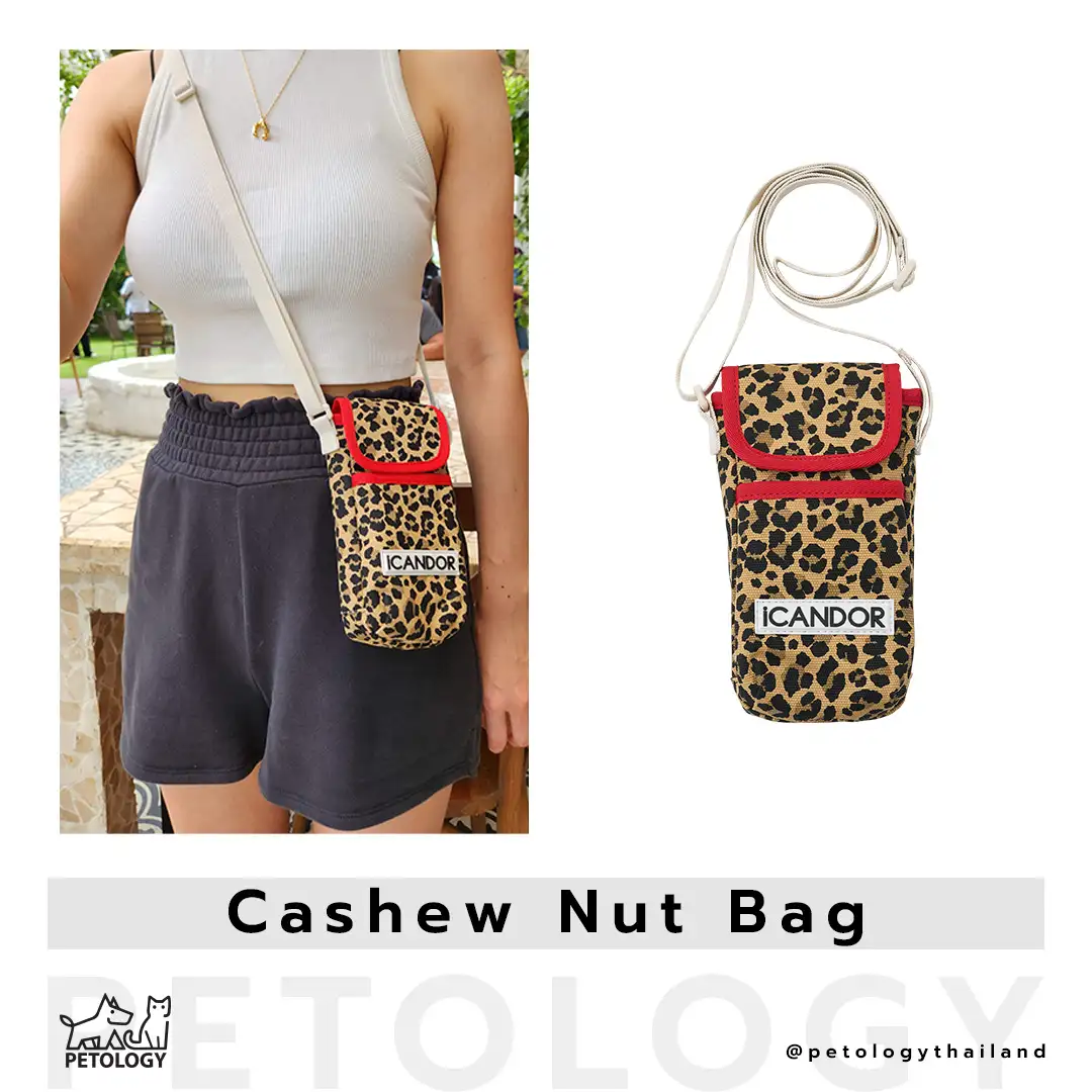 กระเป๋าสำหรับสัตว์เลี้ยง iCandor รุ่น Cashew nut bag