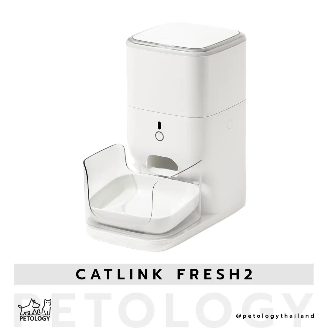 เครื่องให้อาหารอัตโนมัติ Catlink Fresh 2