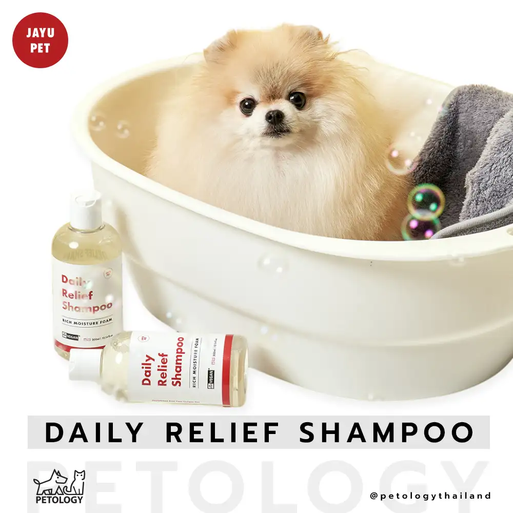 แชมพูสัตว์เลี้ยงออแกนิค ลดความมัน ลดขนแตก ขนมัน Daily Relief Shampoo BY JAYU PET