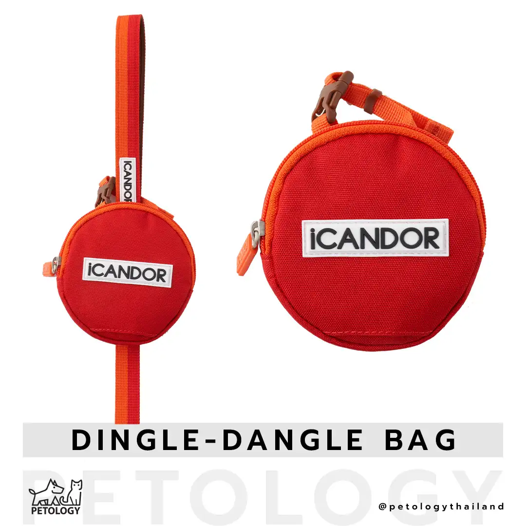 iCandor รุ่น Dingle-Dangle bag