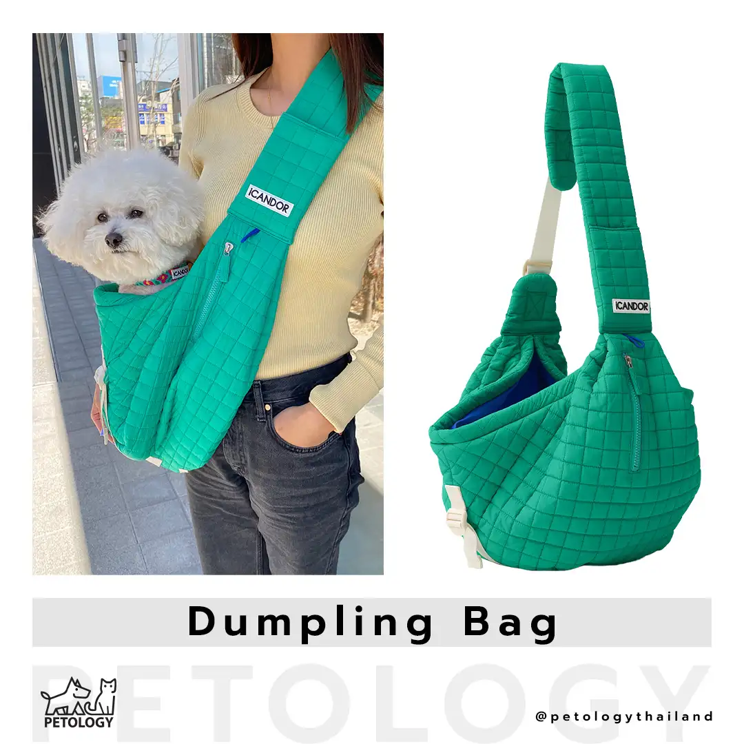 iCandor รุ่น Dumpling Bag ( มี 3 สี )