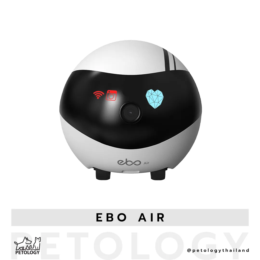 หุ่นยนต์กล้องวงจรปิด Ebo Air กล้องดูแมวควบคุมการใช้งานผ่านมือถือ