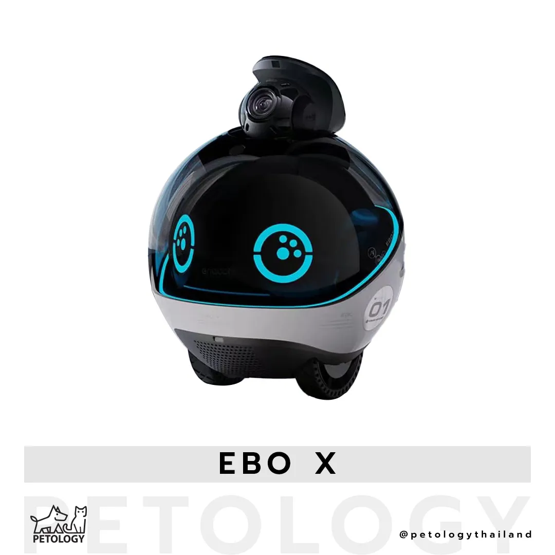 หุ่นยนต์กล้องวงจรปิด Ebo X Family Companion Robot กล้องดูแมวภาพชัด 4K