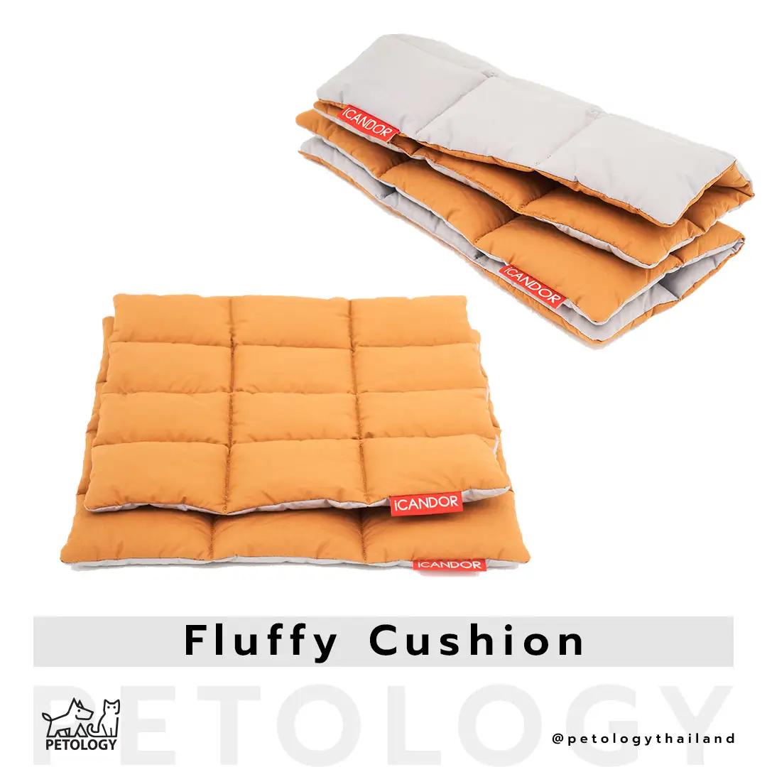 iCandor Fluffy Cushion สำหรับ iBag