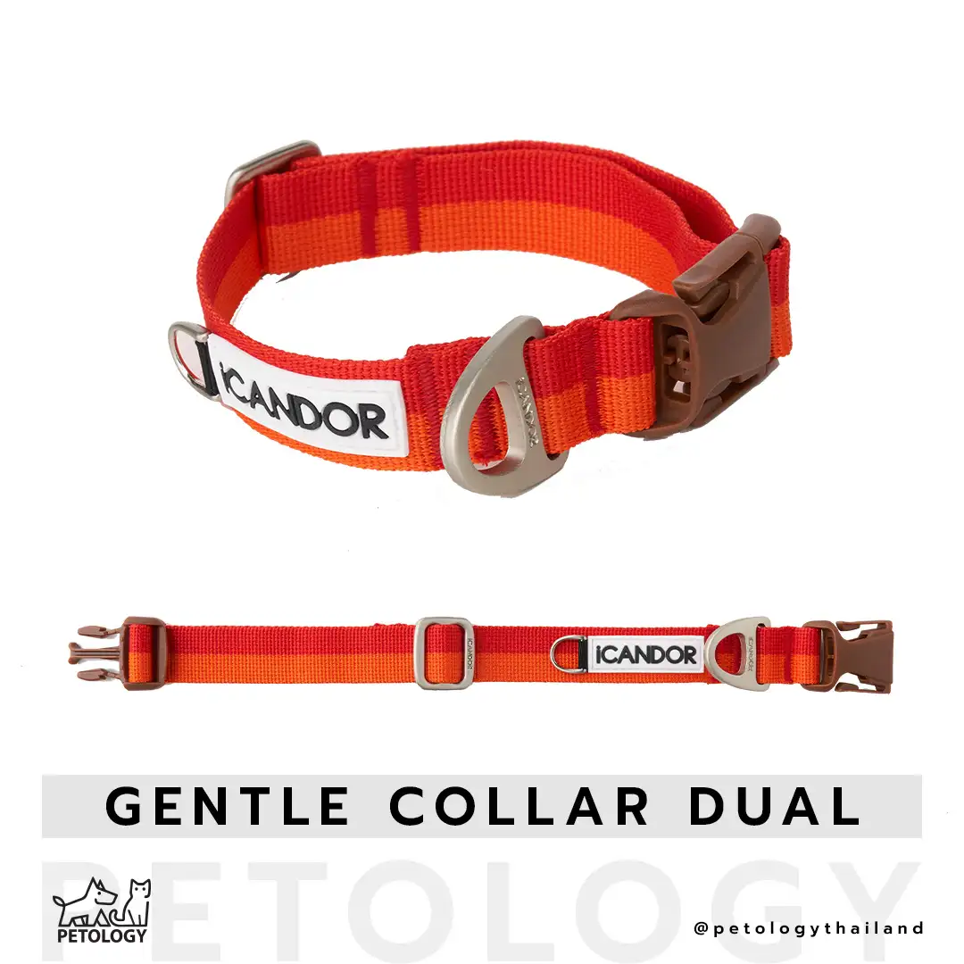 iCandor รุ่น Gentle collar dual ( มี 8 สี )