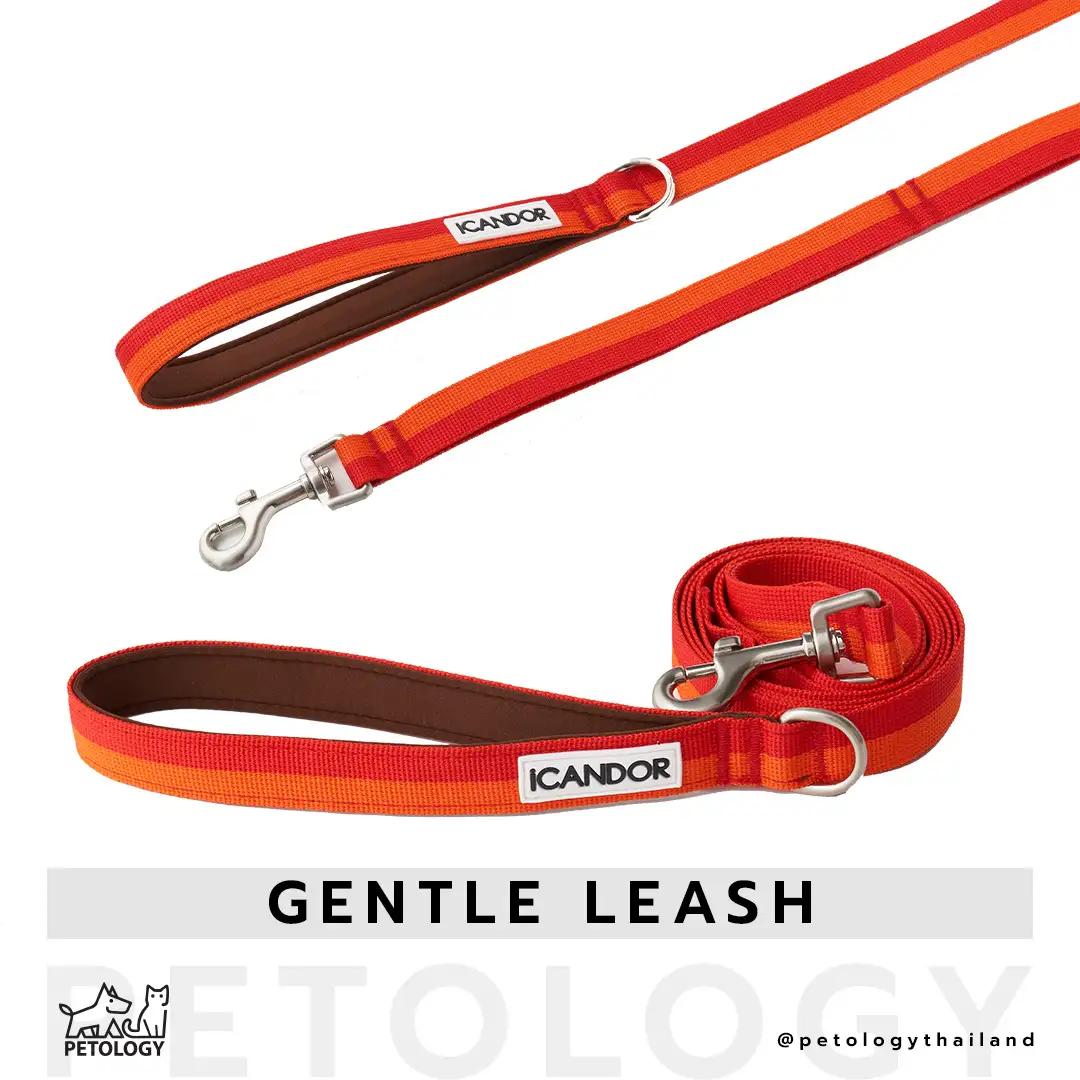 iCandor รุ่น Gentle Leash & Bolt