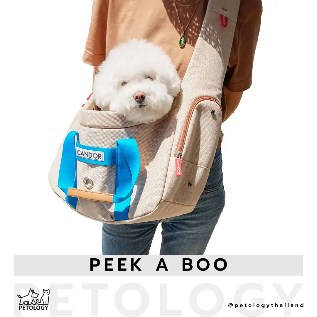 iCandor รุ่น Peek-a-boo bag