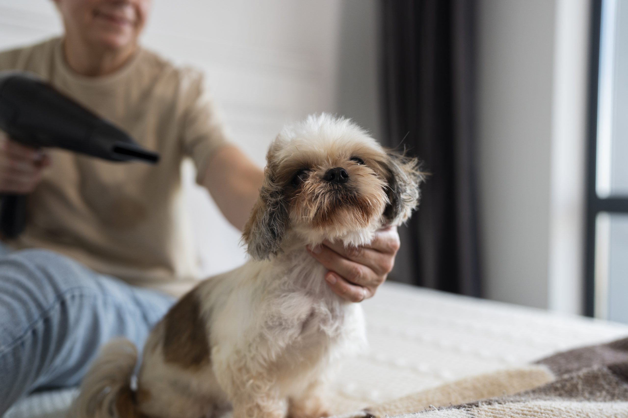 เป่าขนสุนัข ด้วย 2 ไอเทมสุดปังจาก Petology ที่ถูกใจ Dog Lovers แน่นอน!