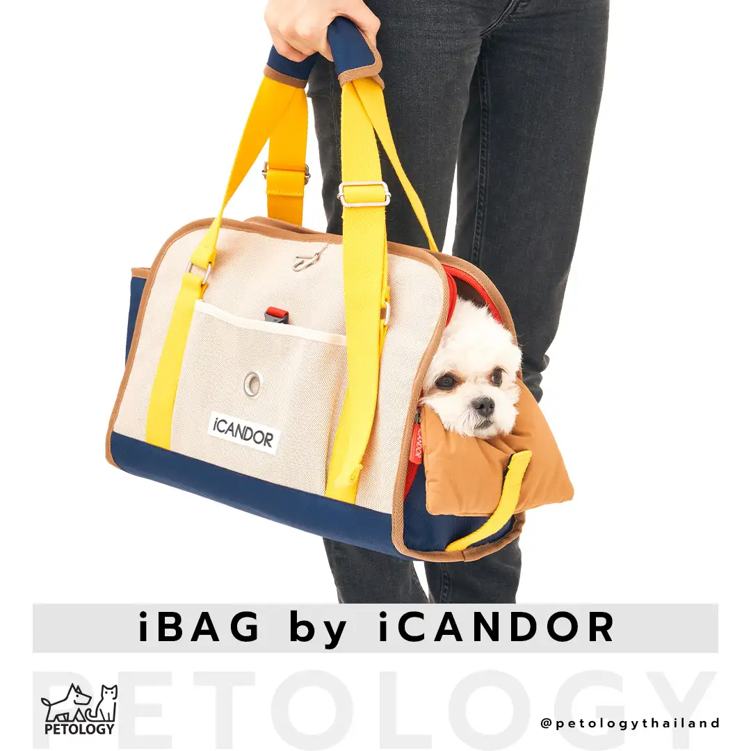 iCandor รุ่น iBag