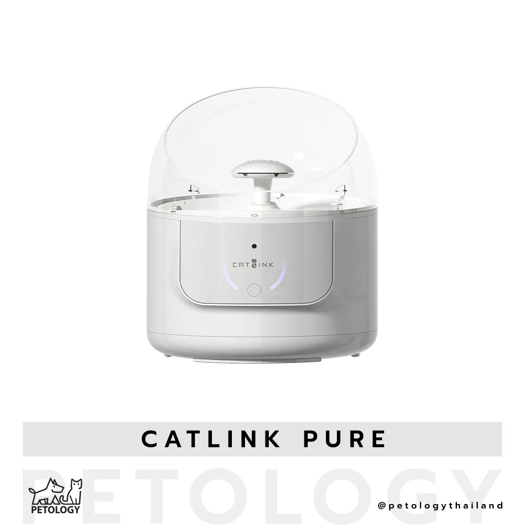 น้ำพุแมวอัจฉริยะ CATLINK PURE 1 บันทึกข้อมูล ควบคุมผ่านแอปพลิเคชัน