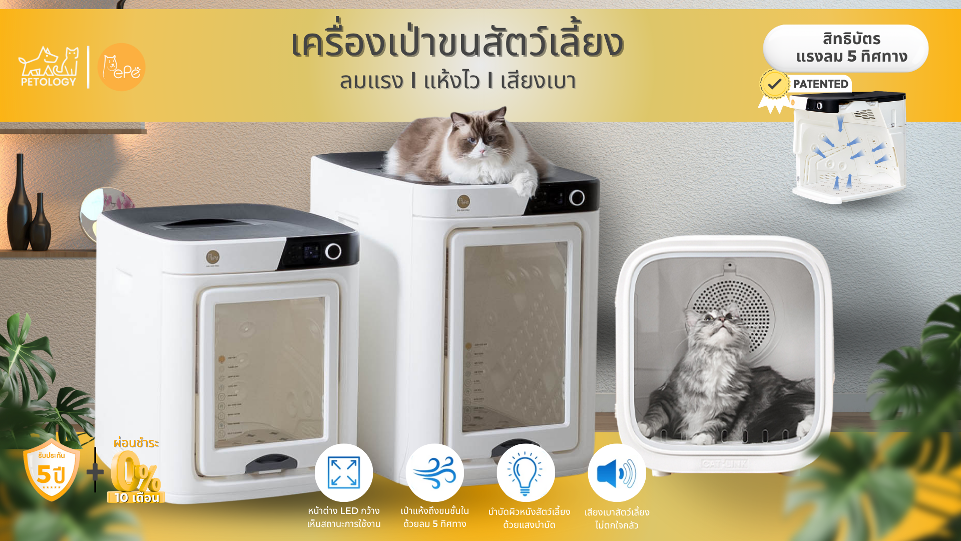 เครื่องเป่า ขนหมา ขนแมว ที่ฟังก์ชันแน่นสุดในปี 2025 จาก Petology