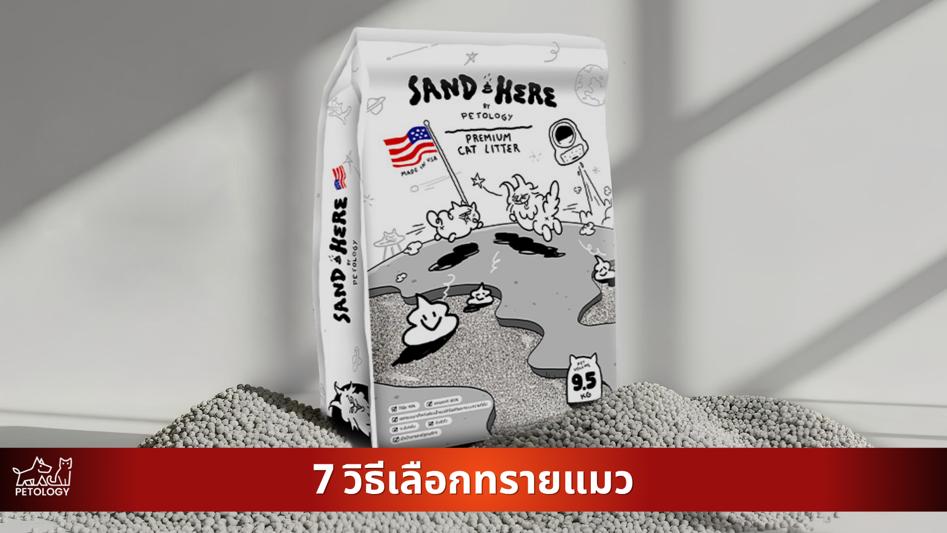 วิธีเลือกทรายแมวที่ดีต้องเป็นยังไง? 7 วิธีเลือกทรายแมวให้เจ้าเหมียวรักคุณยิ่งกว่าเดิม