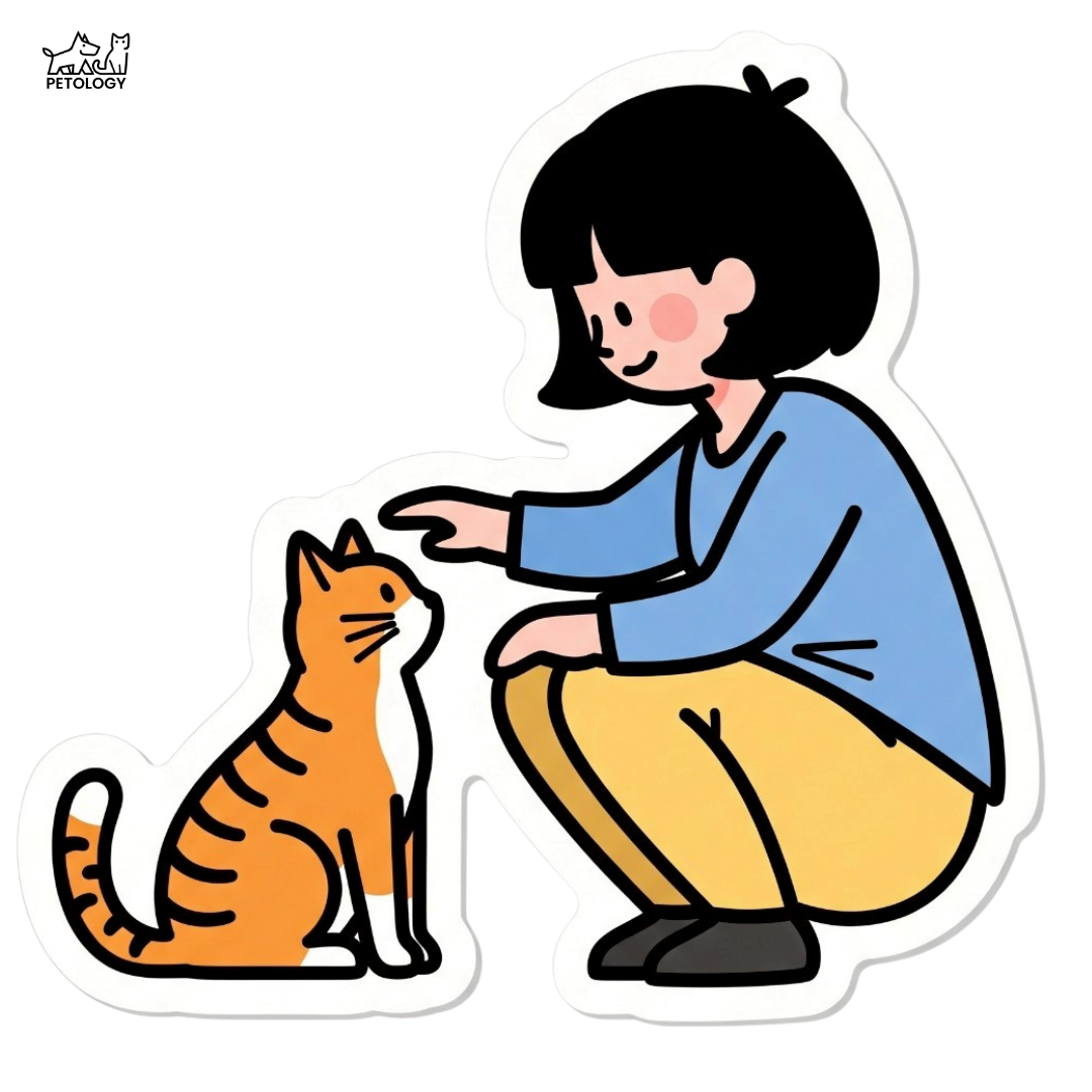 เลี้ยงแมวจร